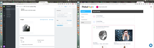 AP 15 inch Laptop Bag